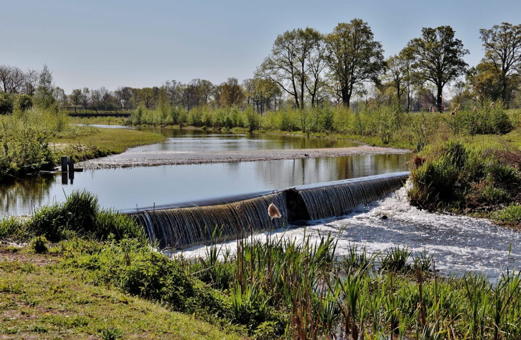Stormwater drainage system managing water flow through a controlled channel in a green landscape